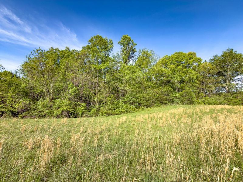 Parcel 1 Perry Ridge Road , Wilkesville, OH 45695 Photo 10