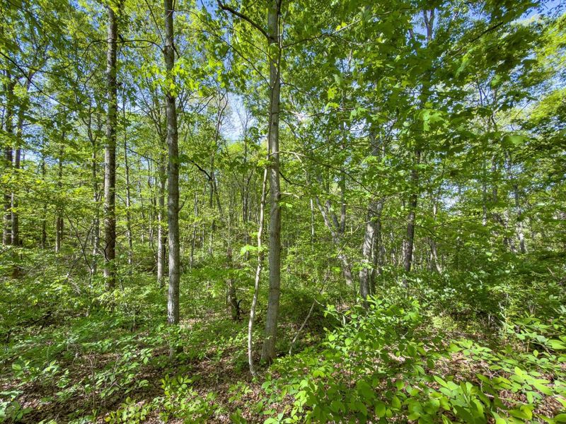 Parcel 1 Perry Ridge Road , Wilkesville, OH 45695 Photo 11