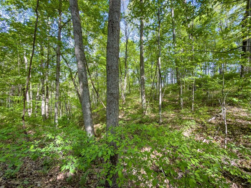 Parcel 1 Perry Ridge Road , Wilkesville, OH 45695 Photo 13