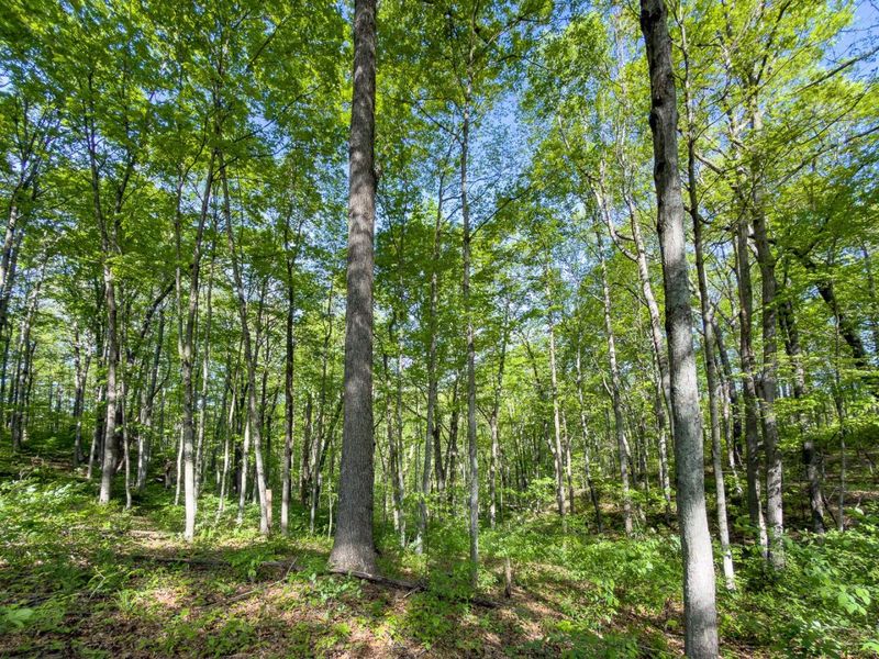 Parcel 1 Perry Ridge Road , Wilkesville, OH 45695 Photo 14