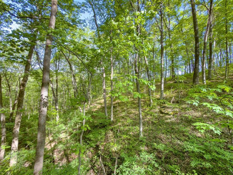 Parcel 1 Perry Ridge Road , Wilkesville, OH 45695 Photo 15