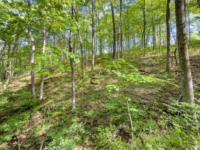 Parcel 1 Perry Ridge Road , Wilkesville, OH 45695 Photo 16