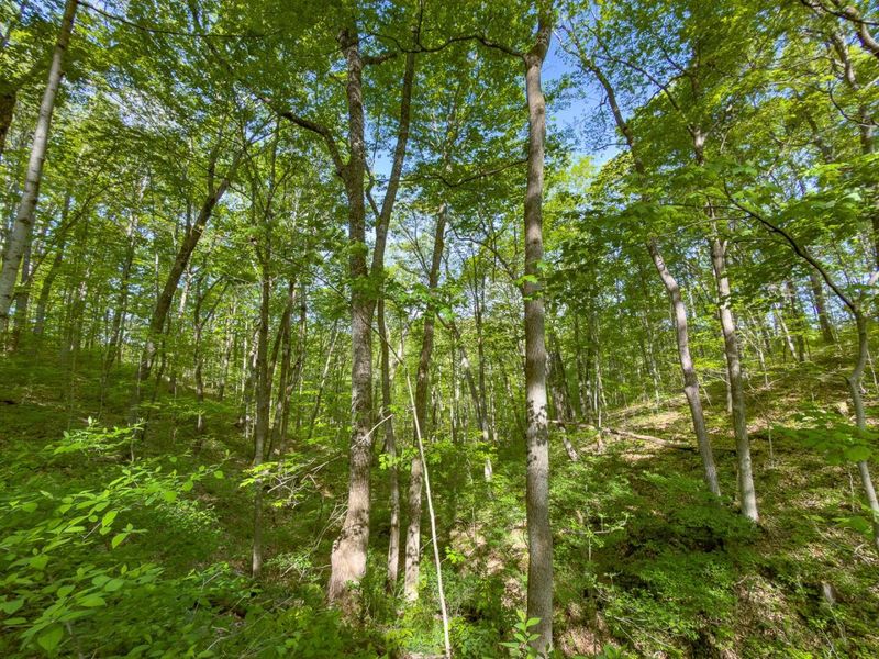 Parcel 1 Perry Ridge Road , Wilkesville, OH 45695 Photo 17