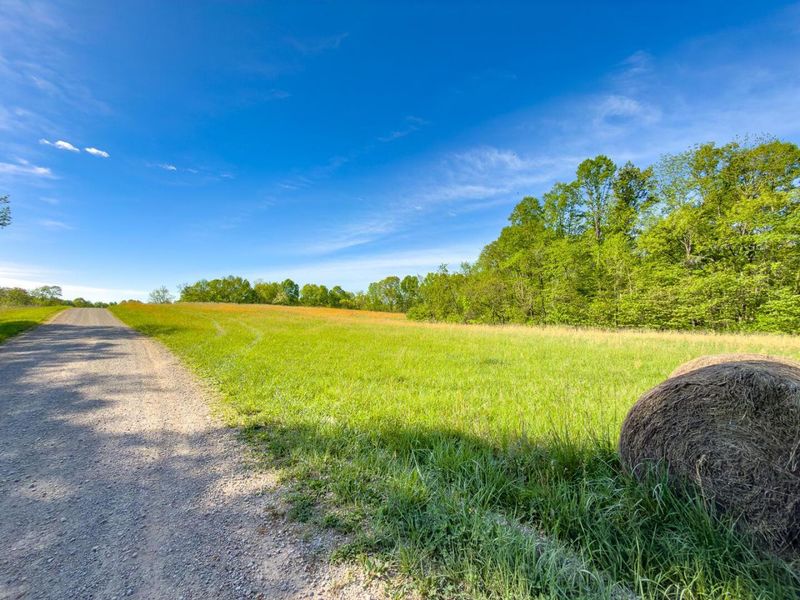 Parcel 1 Perry Ridge Road , Wilkesville, OH 45695 Photo 4