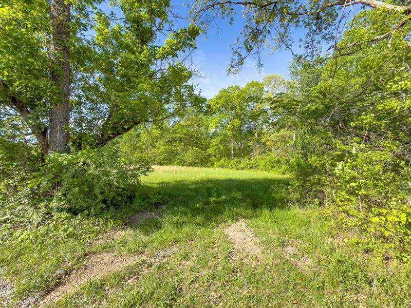 Parcel 1 Perry Ridge Road , Wilkesville, OH 45695 Photo 6