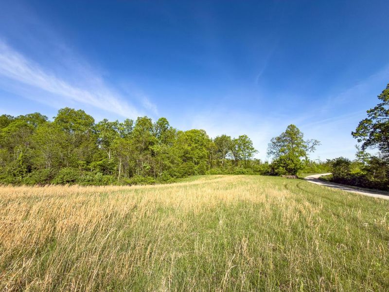 Parcel 1 Perry Ridge Road , Wilkesville, OH 45695 Photo 9
