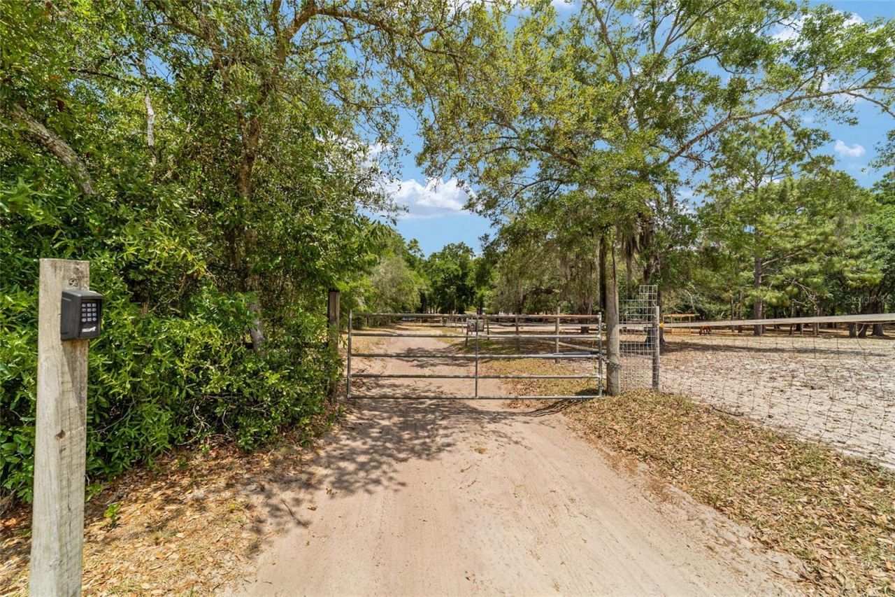 19551 SE 42nd Place , Morriston, FL 32668 Photo