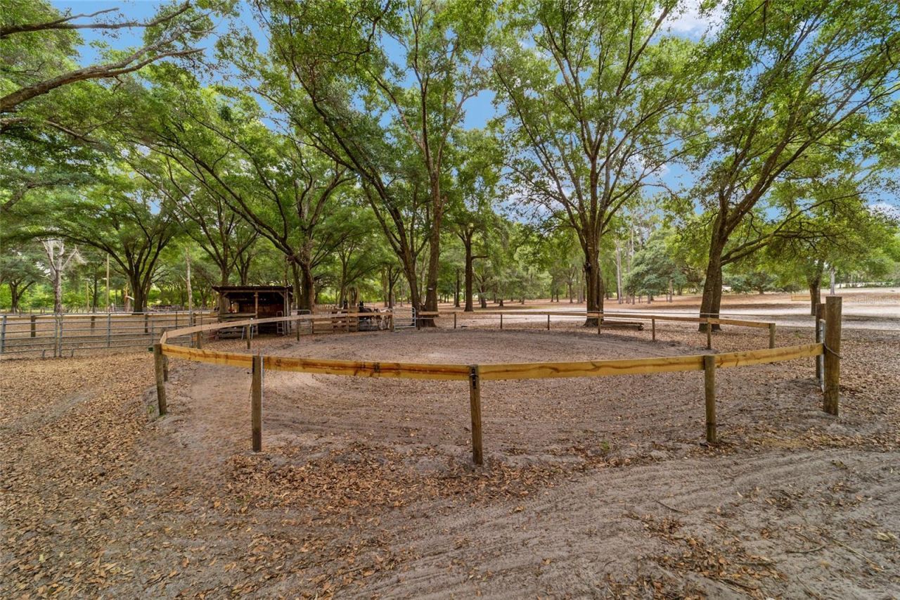 19551 SE 42nd Place , Morriston, FL 32668 Photo