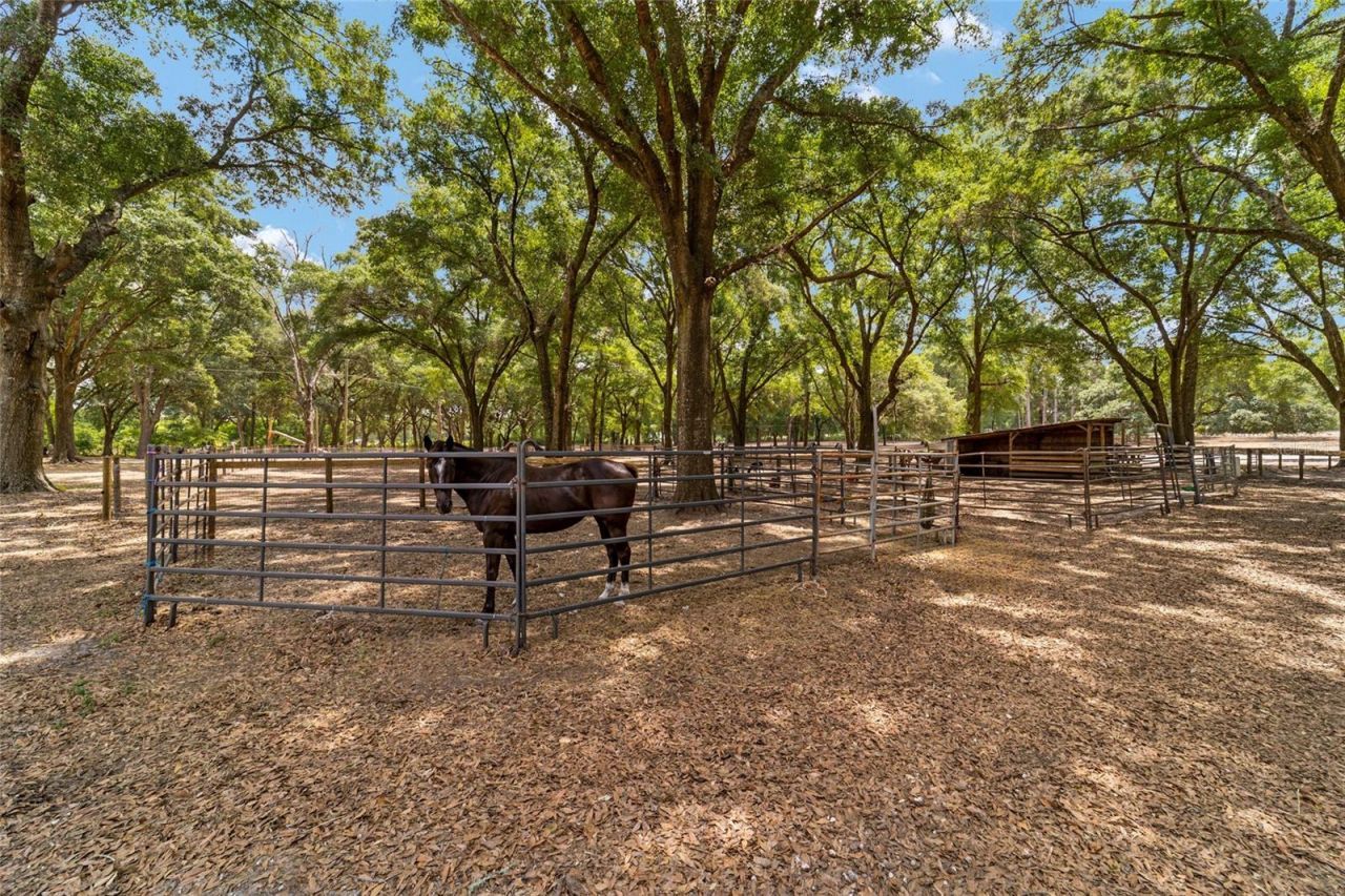 19551 SE 42nd Place , Morriston, FL 32668 Photo