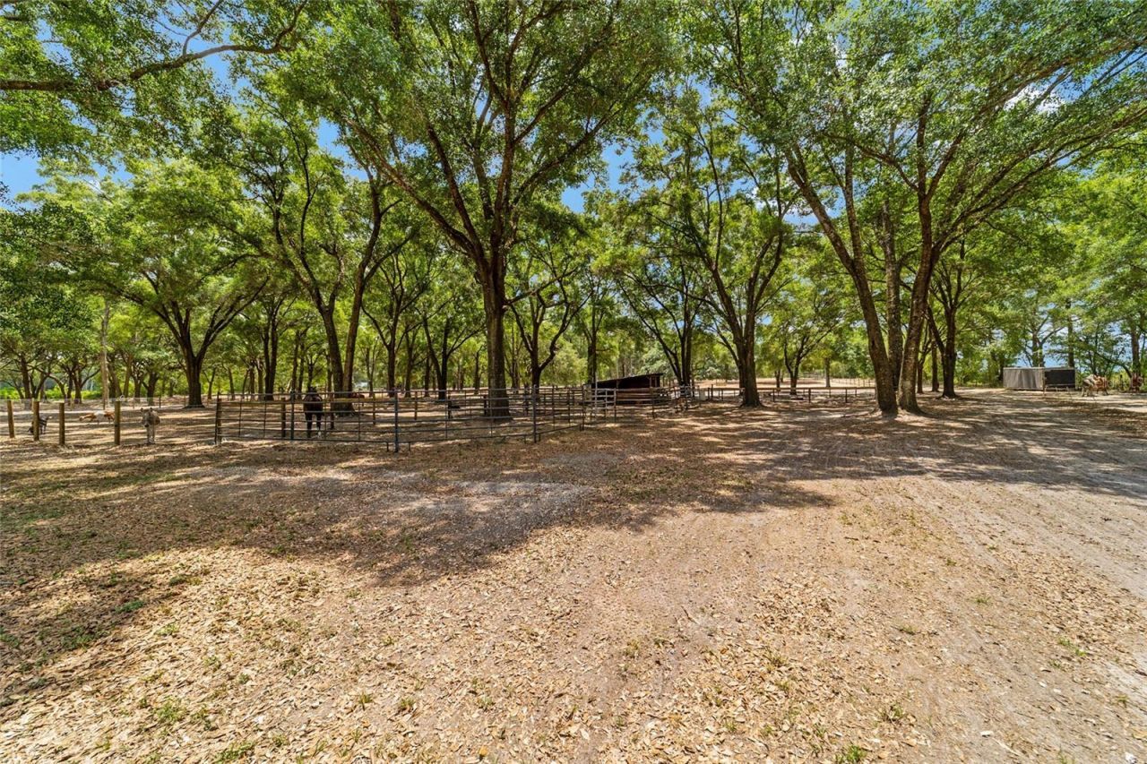 19551 SE 42nd Place , Morriston, FL 32668 Photo