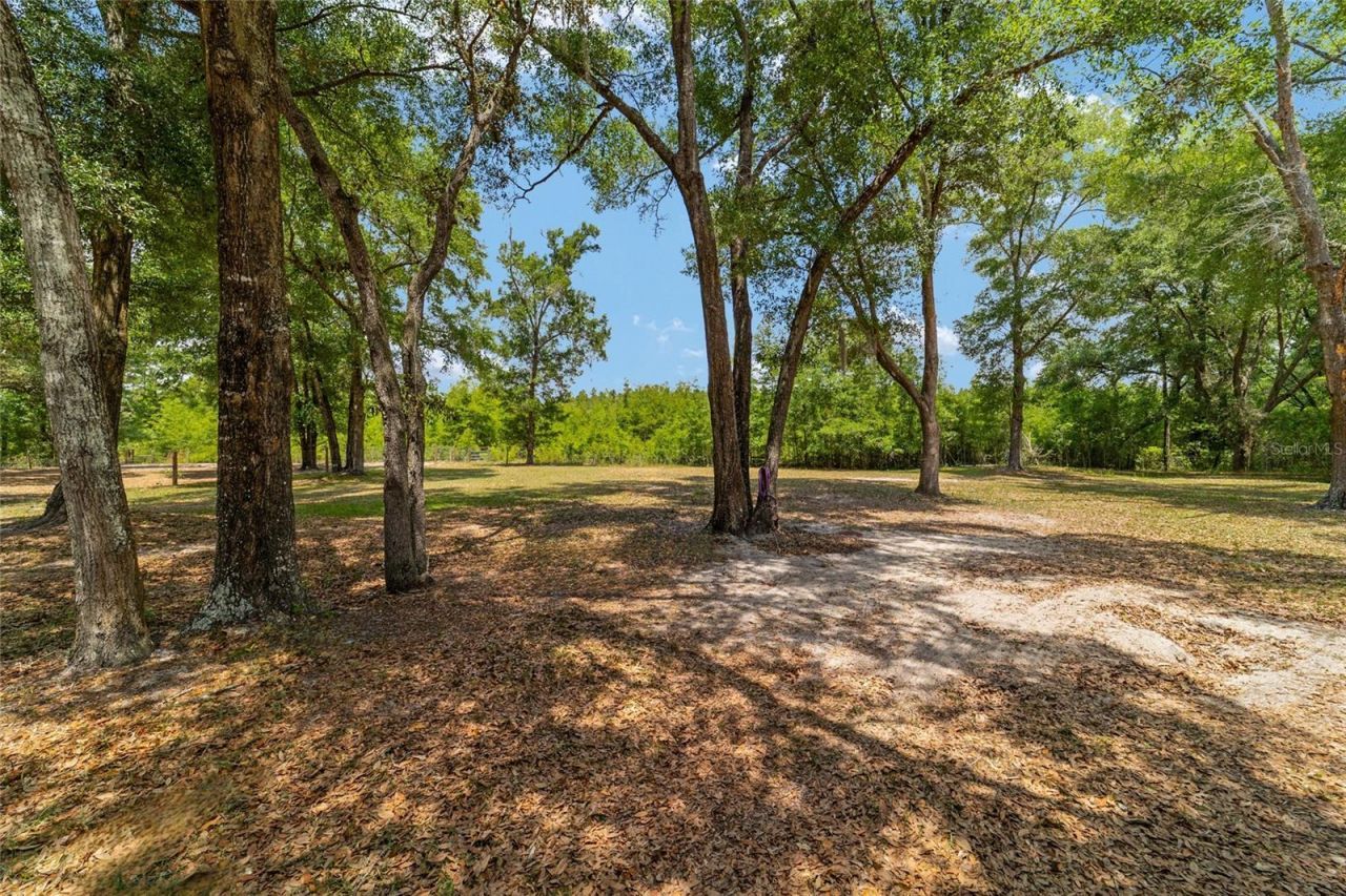 19551 SE 42nd Place , Morriston, FL 32668 Photo