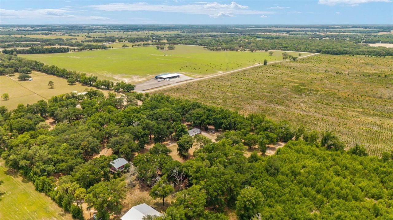 19551 SE 42nd Place , Morriston, FL 32668 Photo