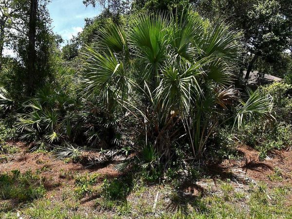 VAN ECK ROAD , NORTH PORT, FL 34291