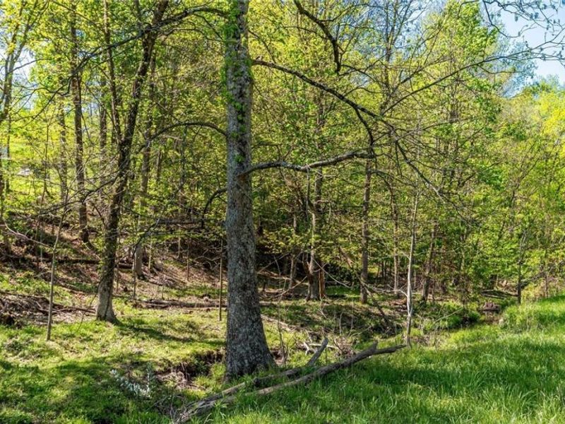 8346 Glenwood Road, Cumberland, OH 43732 Photo 33