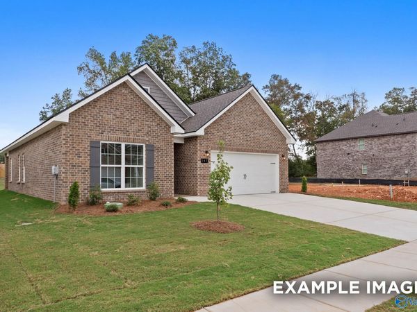 105 Berry Blossom Drive, Toney, AL 35773