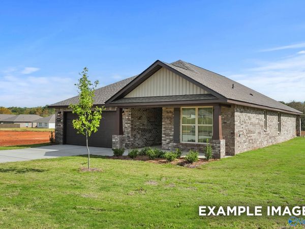 107 Berry Blossom Drive, Madison, AL 35773