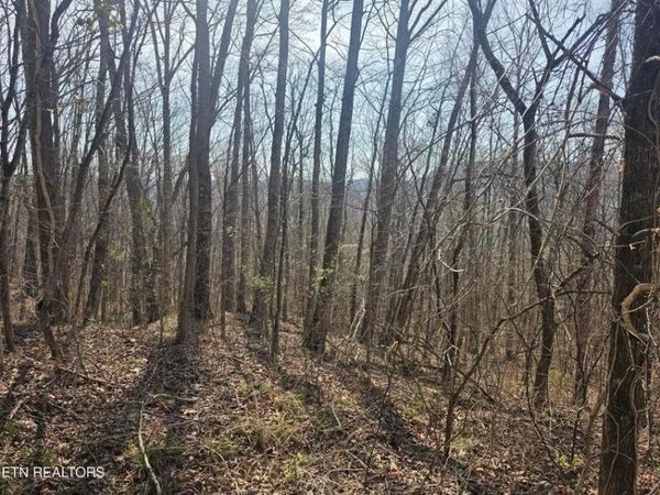 0 Glenoby Rd, Jamestown, TN 38556