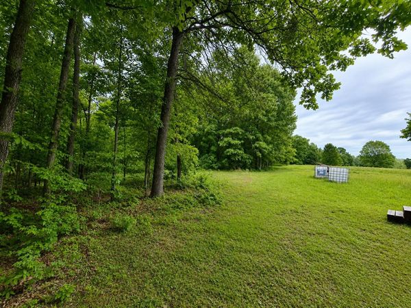 113 Wanda Drive , Squires, MO 65755