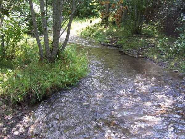 35XX Northport Flat Creek Rd, Colville, WA 99114