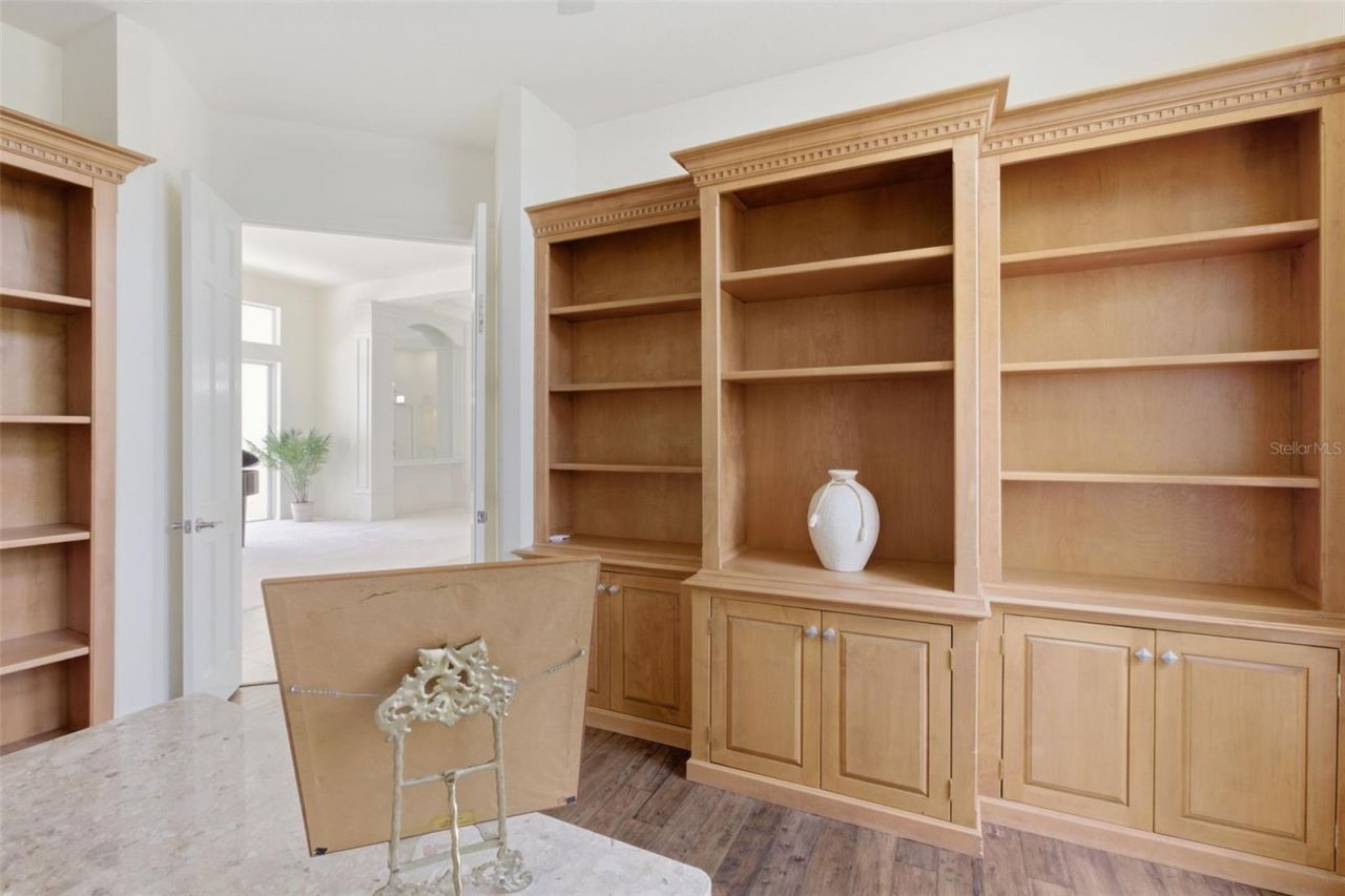 3626 Swans Landing Drive, Land O Lakes, FL 34639 Photo