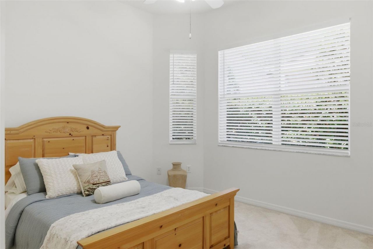 3626 Swans Landing Drive, Land O Lakes, FL 34639 Photo