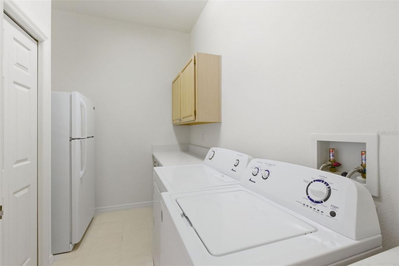3626 Swans Landing Drive, Land O Lakes, FL 34639 Photo