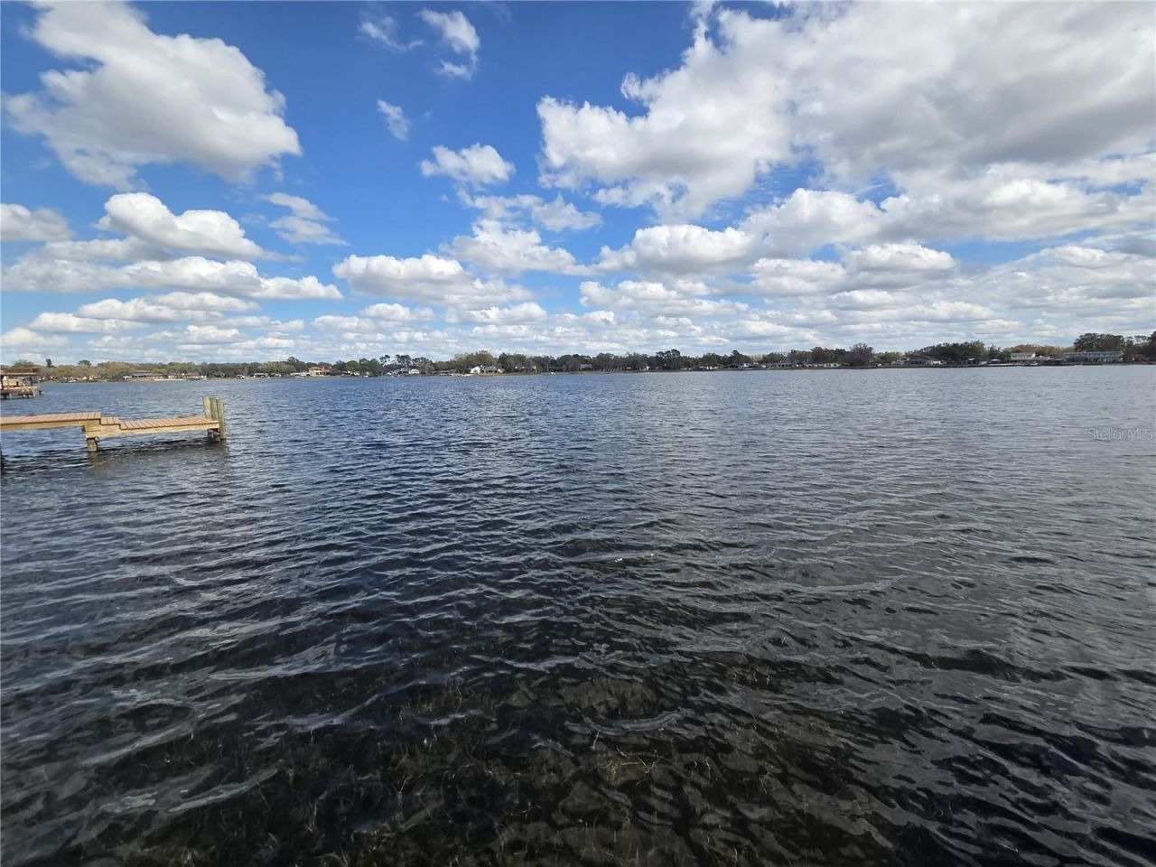 3626 Swans Landing Drive, Land O Lakes, FL 34639 Photo