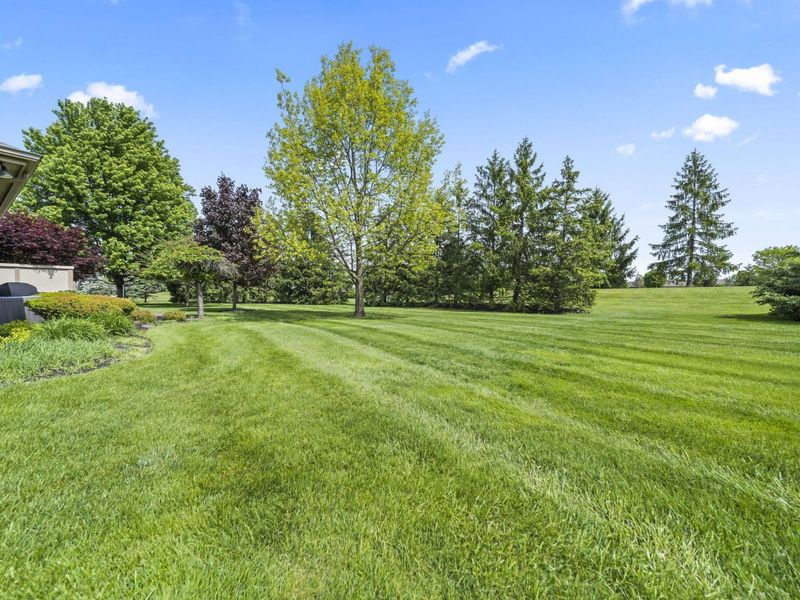 10217 Braemar Drive, Powell, OH 43065 Photo 46