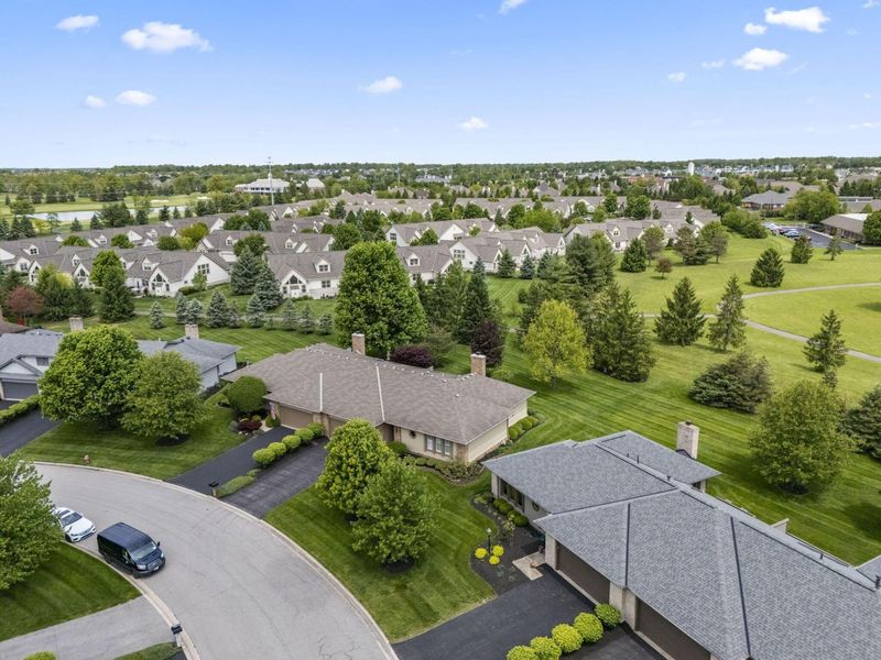 10217 Braemar Drive, Powell, OH 43065 Photo 54