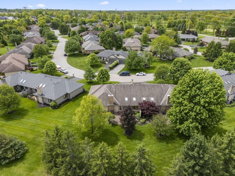 10217 Braemar Drive, Powell, OH 43065 Photo 56