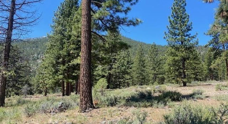 3584 Knob Point Trail, Carson City, NV 89705 Photo
