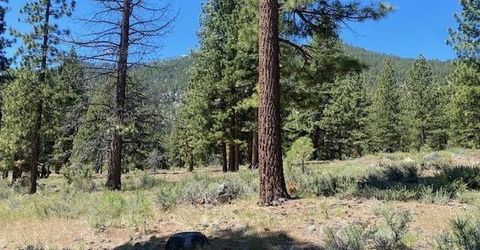 3584 Knob Point Trail, Carson City, NV 89705 Photo