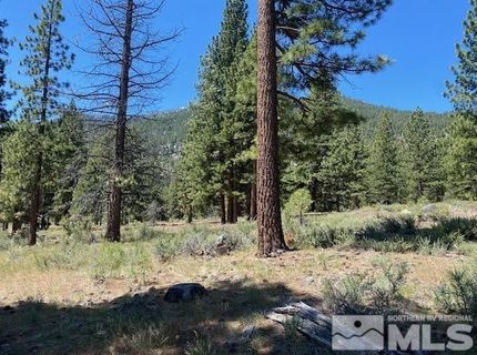 3584 Knob Point Trail, Carson City, NV 89705 Photo