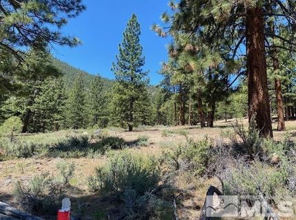 3584 Knob Point Trail, Carson City, NV 89705 Photo