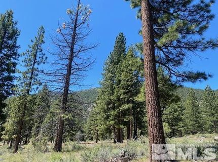 3584 Knob Point Trail, Carson City, NV 89705 Photo