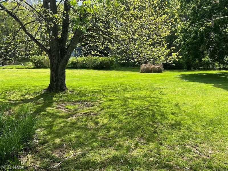 8180 Maple Street SW, Sherrodsville, OH 44675 Photo 6