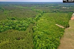 Tbd Timberlane Road  photo 4
