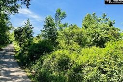Tbd Timberlane Road  photo 4