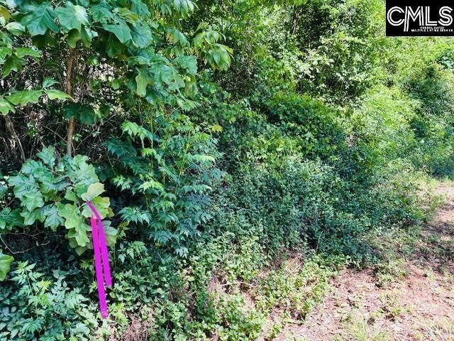 Tbd Timberlane Road  Photo 6