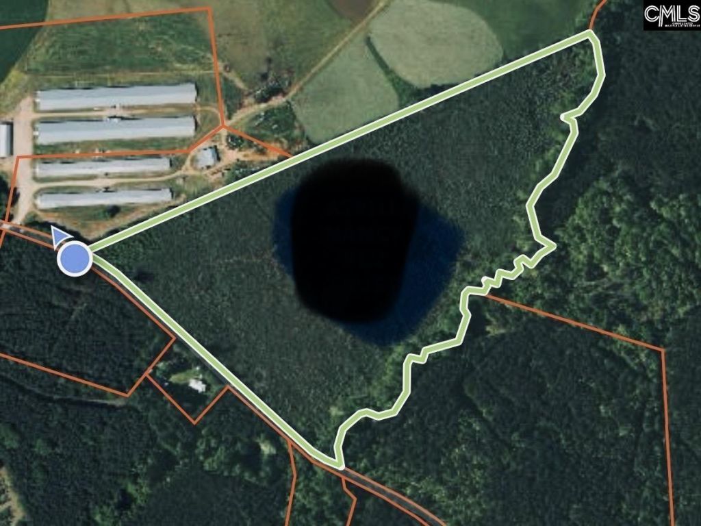 Tbd Timberlane Road  Photo 8