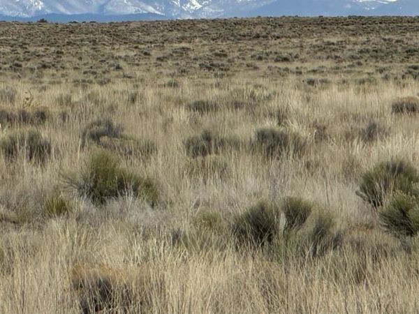 Lot 8 Joe Road , San Luis, CO 81152
