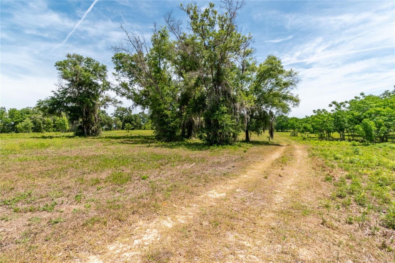 0 Rolling Acres Road, Lady Lake, FL 32159 Photo
