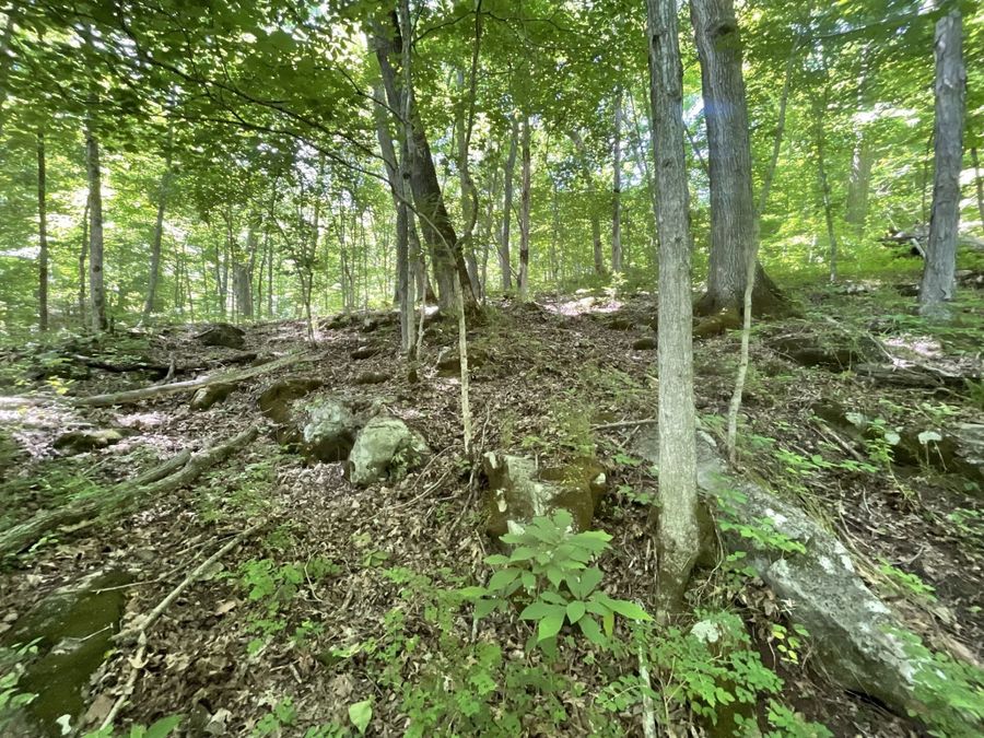 Property Image 92