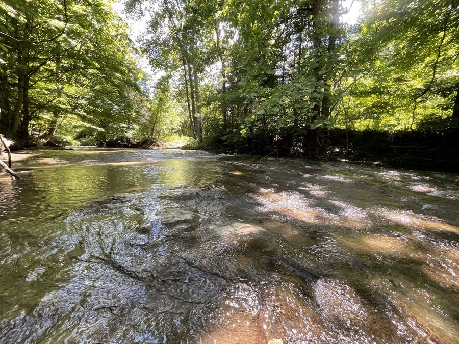 Property Image 95