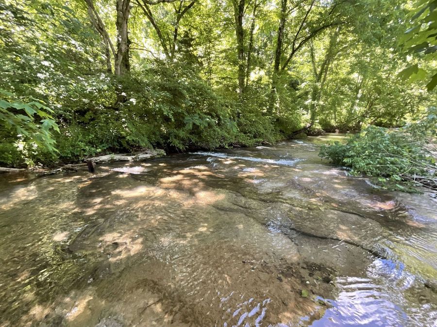 Property Image 96