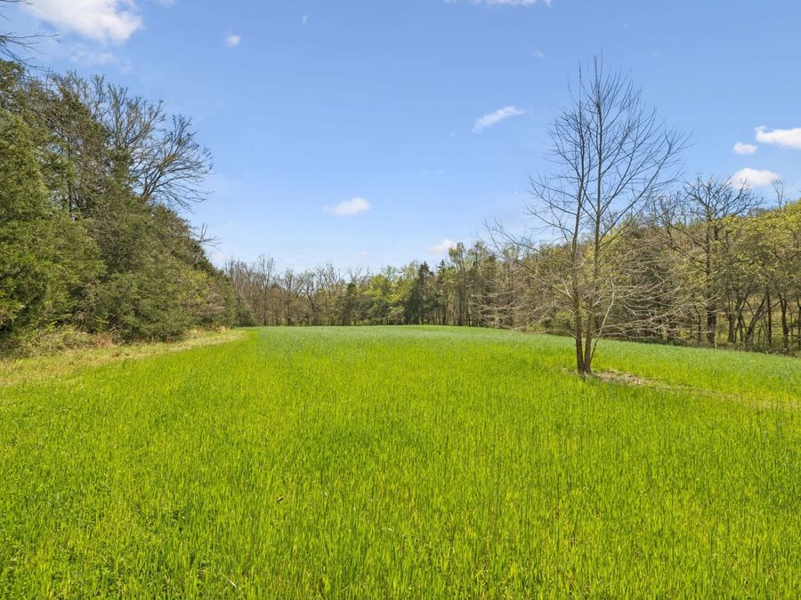 Property Image 50