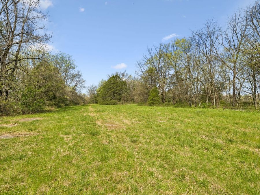 Property Image 54