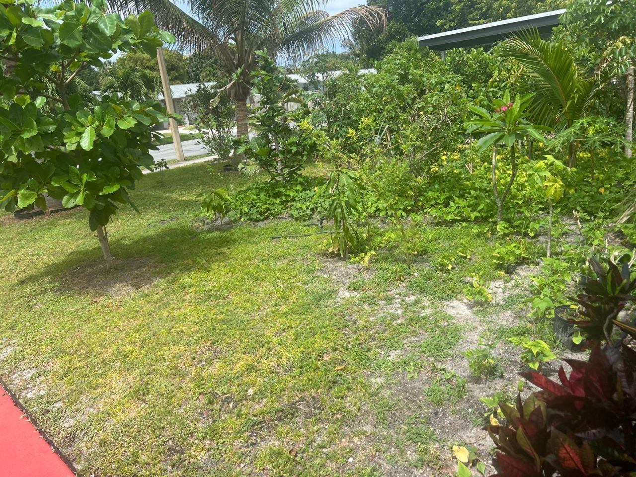 1026 Hansen Street, West Palm Beach, FL 33405 Photo