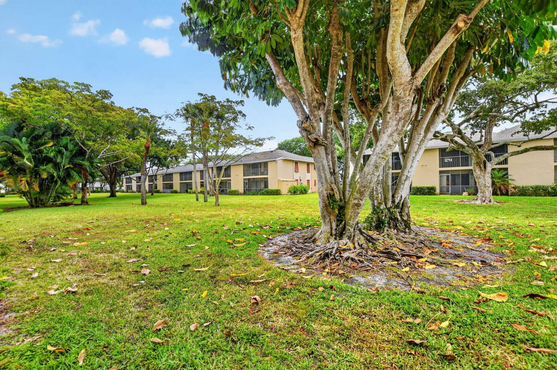 3939 NE 5th Avenue, Unit C102, Boca Raton, FL 33431 Photo