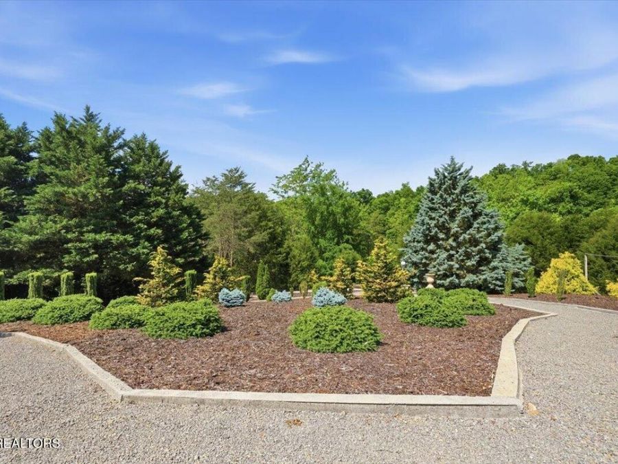 Property Image 58